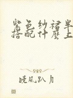 紫色纱裙半身裙搭配什么上衣好看