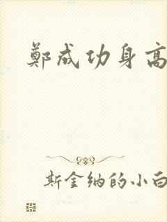 郑成功身高多少