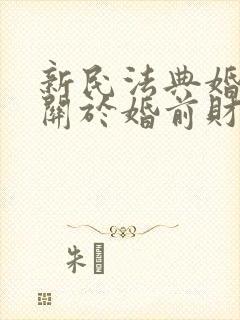 新民法典婚姻法关于婚前财产