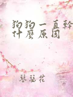 狗狗一直干咳是什么原因