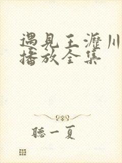 遇见王沥川在线播放全集