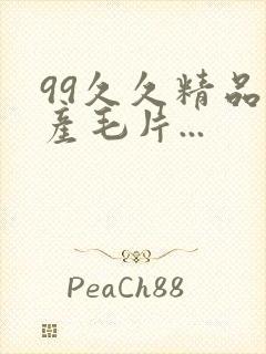 99久久精品国产毛片...