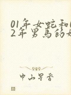 01年女蛇和02年男马的姻缘