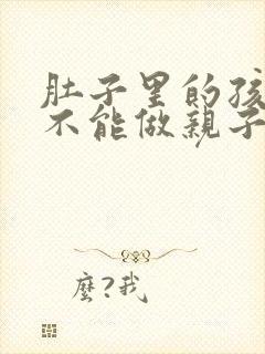 肚子里的孩子能不能做亲子鉴定