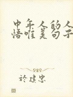 中年人的人生感悟唯美句子