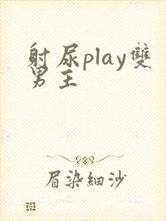 射尿play双男主