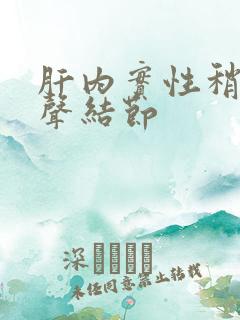 肝内实性稍高回声结节