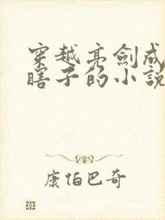 穿越亮剑成为程瞎子的小说