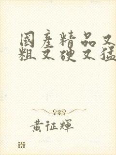 国产精品又长又粗又硬又猛又爽又黄的毛片