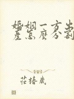 婚姻一方出轨财产怎么分割 新婚姻法