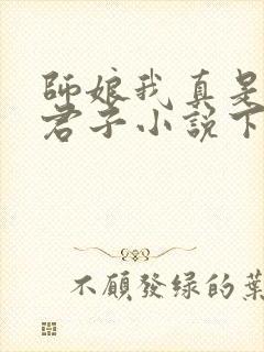 师娘我真是正人君子小说下载