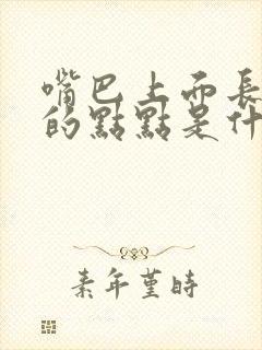 嘴巴上面长白色的点点是什么原因