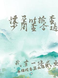 怀孕nt检查多少周查合适