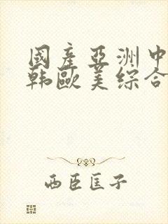 国产亚洲中文日韩欧美综合网