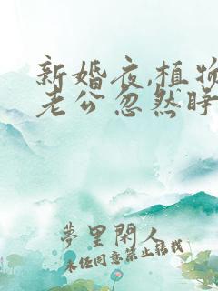 新婚夜,植物人老公忽然睁开眼叶叶不萌