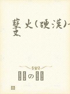 孽火(硬汉)今又