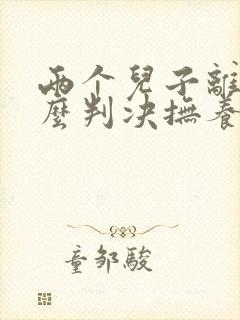 两个儿子离婚怎么判决抚养权