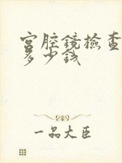 宫腔镜检查费用多少钱