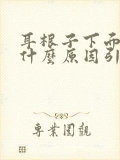 耳根子下面疼是什么原因引起的