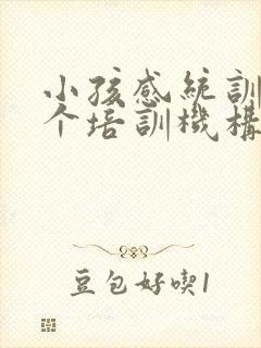 小孩感统训练哪个培训机构好