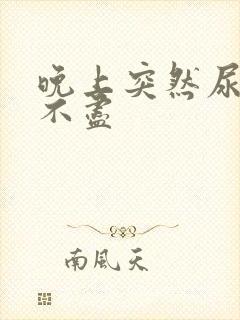 晚上突然尿频尿不尽