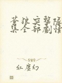 苍狼突击队42集全部剧情介绍