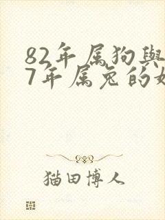 82年属狗与87年属兔的婚姻状况