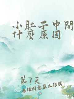 小肚子中间胀是什么原因