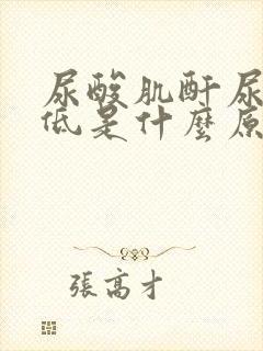 尿酸肌酐尿素偏低是什么原因