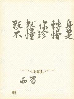 既然你转身离去不懂珍惜是什么歌