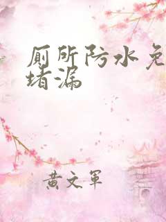 厕所防水免砸砖堵漏