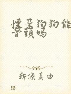 怀孕狗狗能吃鸡骨头吗