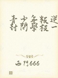 青少年叛逆正规封闭学校一年多少学费