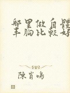 哪里做自体脂肪丰胸比较好