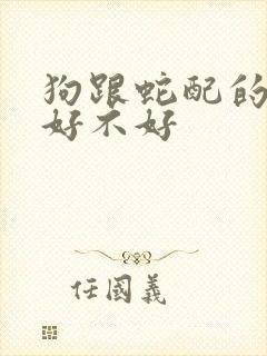 狗跟蛇配的婚姻好不好