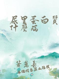 尿里蛋白质高是什么病