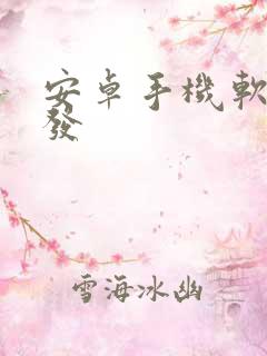 安卓手机软件开发