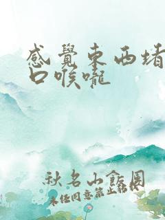 感觉东西堵在胸口喉咙