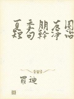 夏季朋友圈文案短句干净治愈阳光