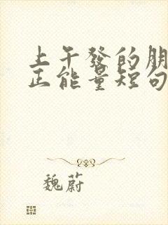 上午发的朋友圈正能量短句文案