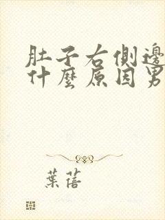 肚子右侧边疼是什么原因男性