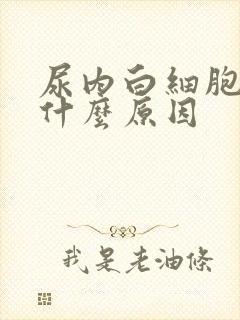 尿内白细胞高是什么原因