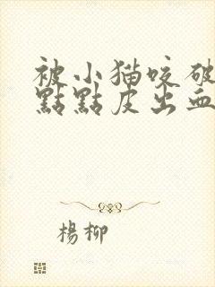 被小猫咬破了一点点皮出血了