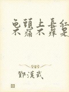 龟头上长红疙瘩不痛不痒是怎么回事