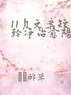 11月文案短句干净治愈阳光