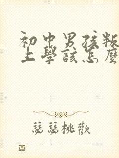 初中男孩叛逆不上学该怎么办