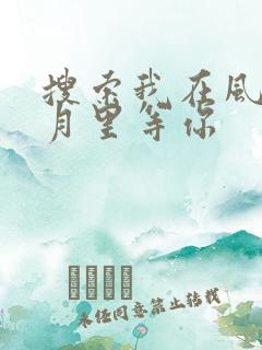搜索我在风花雪月里等你