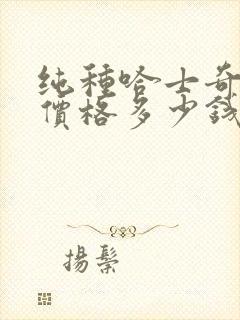 纯种哈士奇幼犬价格多少钱