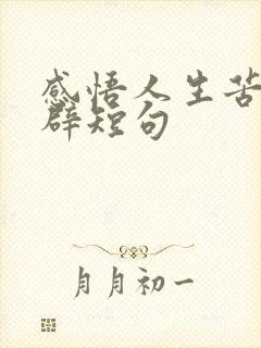 感悟人生苦短精辟短句