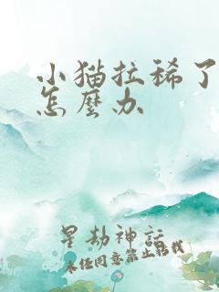 小猫拉稀了带血怎么办